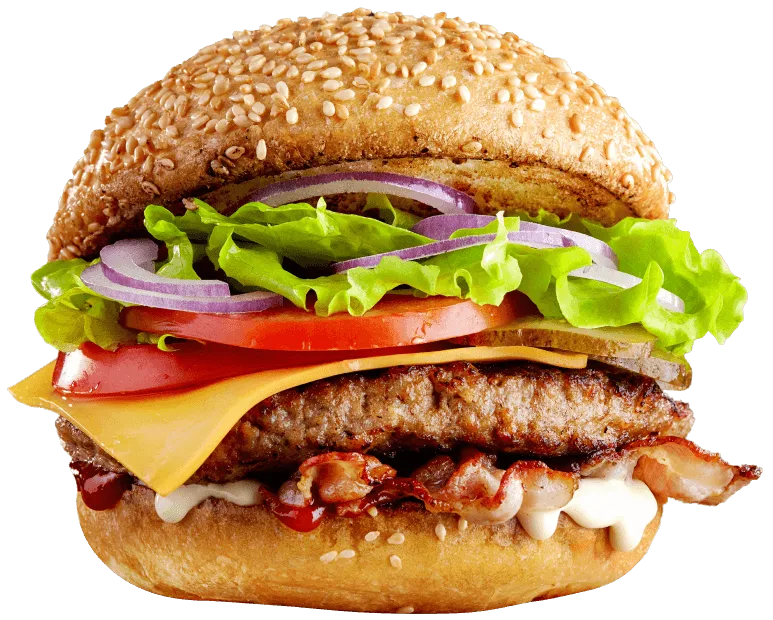 Hamburguesa ilustrativa de la plantilla Wellfood
